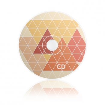 CDs bedrucken